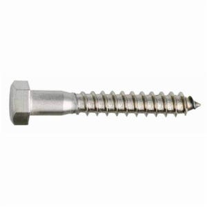 BBI® 782036 Lag Screw, 1/4-10, 2-1/2 in OAL, 18-8 SS