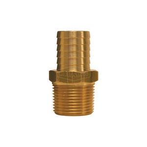 Dixon® 1021612C Insert, 3/4 x 1 in, MNPT x Hose Barb, Brass