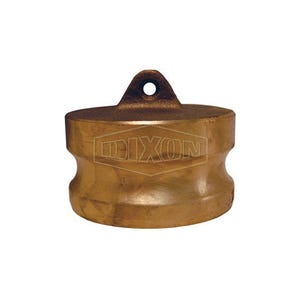 Dixon® 200-DP-BR Boss-Lock™ Type DP Cam and Groove Dust Plug, 2 in Nominal, Brass
