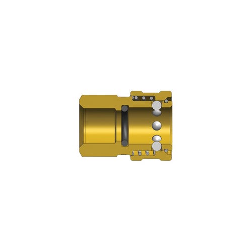 Dixon® 4EBF4-B DQC E Straight Through Interchange Female Coupler, 1/2-14 Nominal, BSPP, Brass