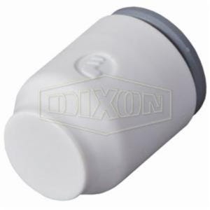 Dixon® 63515600WP2 LIQUIfit™ End Stop, 1/4 in Nominal, Tube End Style, Nylon, Domestic