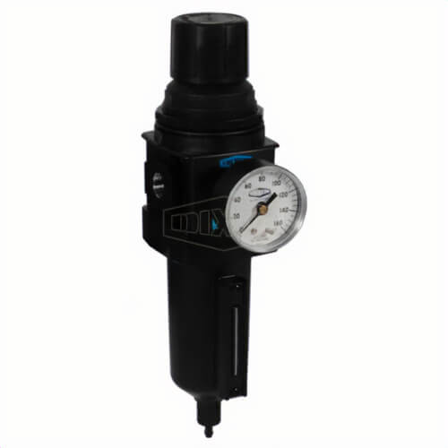 Wilkerson® by Dixon® B28-03MGMB Self-Relieving Standard Filter/Regulator with GC230 Gauge and Sight Glass, 3/8 in NPT/BSPP-G Port