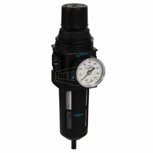 Wilkerson® by Dixon® B28-04MG Self-Relieving Standard Filter/Regulator with GC230 Gauge and Bowl Guard, 1/2 in NPT/BSPP-G Port