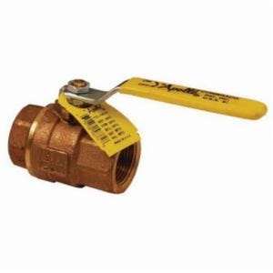 Dixon® BBV100FP Ball Valve, 1 in Nominal, FNPT End Style