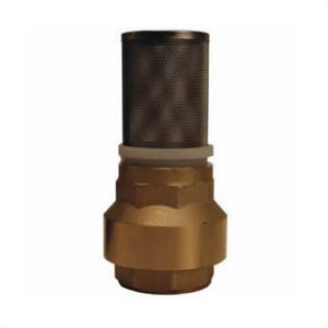 Dixon® BVFS20 Spring-Loaded Check Valve with Strainer, 1-1/2 in Nominal, FNPT End Style, Brass Body, NBR Seat Soft goods, Import