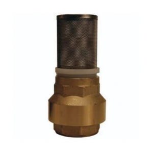 Dixon® BVFS25 Strainer with Spring-Loaded Check Valve, 2 in, FNPT, Brass Body
