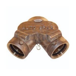 Dixon® DCS6025F Siamese Connection Back Outlet Double Clapper, 2-1/2 x 6 in, Female NST (NH) x FNPT, Brass, Domestic