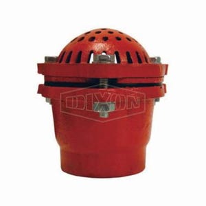 Dixon® DFVS35 Foot Valve, 3 in, FNPT, Cast Iron Body