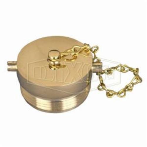 Dixon® FP250F Pin Lug Cap with Chain, 2-1/2 in, Male NST, Brass, Domestic