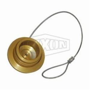 Dixon® FloMax R-HN-PLUG R Series Hydraulic Oil Nozzle Plug, Aluminum, Domestic