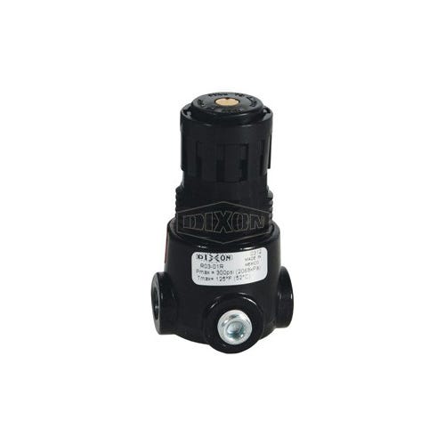 Wilkerson® by Dixon® R03-02R Self-Relieving Standard Miniature Regulator Without Gauge, 1/4 in NPT, 15 scfm
