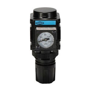 Wilkerson® by Dixon® R08-02RG Self-Relieving Standard Miniature Regulator with GC620 Gauge, 1/4 in NPT/BSPP-G