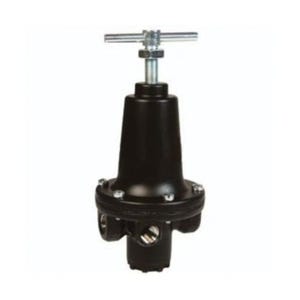 Watts by Dixon® R119-04C Relieving Standard Regulator, 1/2 in NPT, 150 scfm Flow Rate, 2 to 125 psig Pressure
