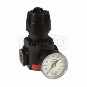 Wilkerson® by Dixon® R16-02RHG High Pressure Self-Relieving Standard Compact Regulator with GC240 Gauge, 1/4 in NPT/BSPP-G
