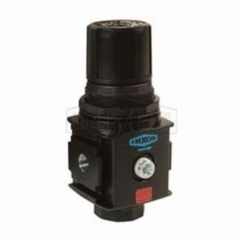 Wilkerson® by Dixon® R18-04R 1 Series Self-Relieving Standard Compact Regulator Without Gauge, 1/2 in NPT/BSPP-G, 97 scfm Flow Rate