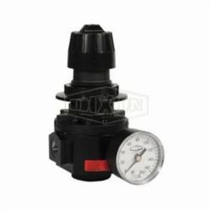 Wilkerson® by Dixon® R26-03RG Relieving Standard Regulator with GC230 Gauge, 3/8 in NPT/BSPP-G, 148 scfm Flow Rate, 0 to 125 psig Adjustable Pressure