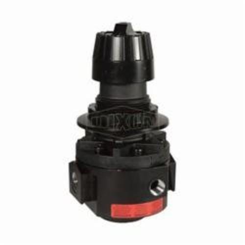 Wilkerson® by Dixon® R26-03RH High Pressure Self-Relieving Standard Regulator Without Gauge, 3/8 in NPT/BSPP-G, 148 scfm