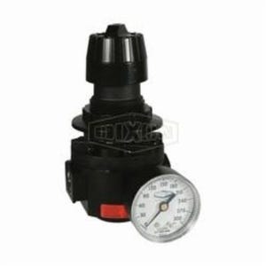 Wilkerson® by Dixon® R26-03RHG High Pressure Self-Relieving Standard Regulator with GC240 Gauge, 3/8 in NPT/BSPP-G, 148 scfm