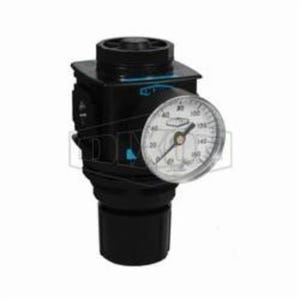 Wilkerson® by Dixon® R28-03RG Self-Relieving Standard Regulator with GC230 Gauge, 3/8 in NPT/BSPP-G, 162 scfm