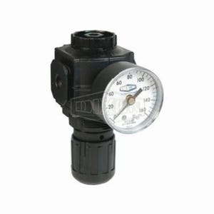 Norgren® by Dixon®R73G-2RG 1 Series Relieving Compact Regulator with GC230 Gauge, 1/4 in PTF, 91 scfm, 5 to 150 psi Pressure