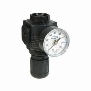 Norgren® by Dixon® R73G-3RG Excelon® 1 Series Relieving Compact Regulator with GC230 Gauge, 3/8 in PTF, 144 scfm Flow Rate, 5 to 150 psi Pressure