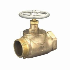 Dixon® SGV250F Straight Globe Valve, 2-1/2 in, FNPT, Brass Body