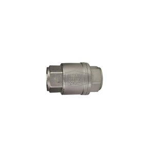 Dixon® SSCVIL100 Check Valve, 1 in, FNPT, 316 Stainless Steel Body