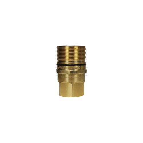 Dixon® W6BF4-B DQC W Wingstyle Interchange Female Plug, 1/2-14 Nominal, Female BSPP, Brass