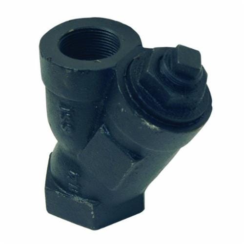 Dixon® Y004 Y-Line Strainer, 3/4 in Nominal, FNPT Connection, Graphite Soft goods