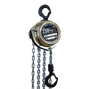 Elephant Lifting Productsâ„¢ HM-250-20 Hand Chain Hoist, Hoistman HM-25 Mini series, 550 lb Capacity, 20 ft Lift