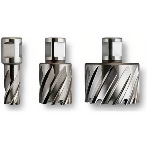 Fein 63134698003 Slugger HSS 2-3/4X3 in Cutter