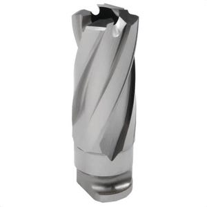 Hougen® 17910 RotaLoc Plus™ Annular, 17 mm x 25 mm