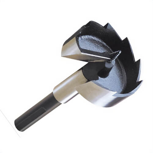 Qualtech DMS70-3065 Self-Feed Wood Drill Bit, 3 in dia